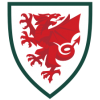 Wales World Cup 2022 Children